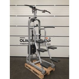 Technogym cheap dip station