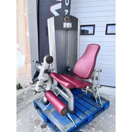 Life fitness leg raise best sale