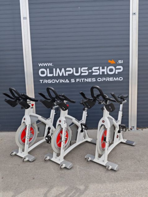 Schwinn fitness ac performance plus indoor cycling bike online