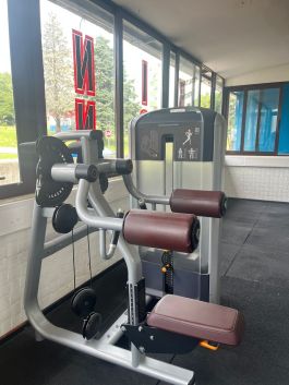 Precor Discovery Lateral Raise