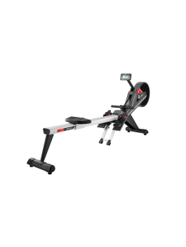 BH FITNESS PROFESIONALNI VESLAČ AIR ROWING R520