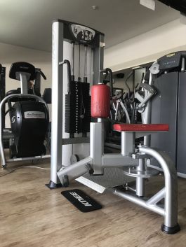 BH Fitness Rotary Torso