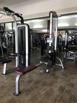 Life Fitness Pro1 Dual Pulley Row